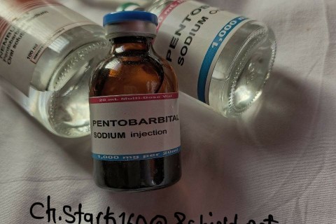 Pntobarbital Euthanasie