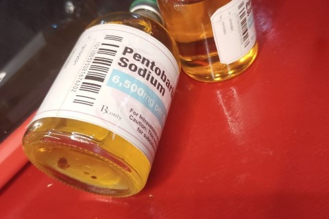 Pentobarbital Nembutal de Sodium