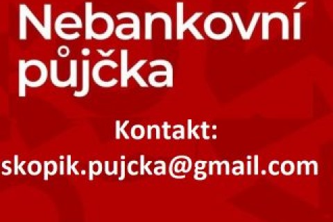 VLADIMÍR ŠKOPÍK